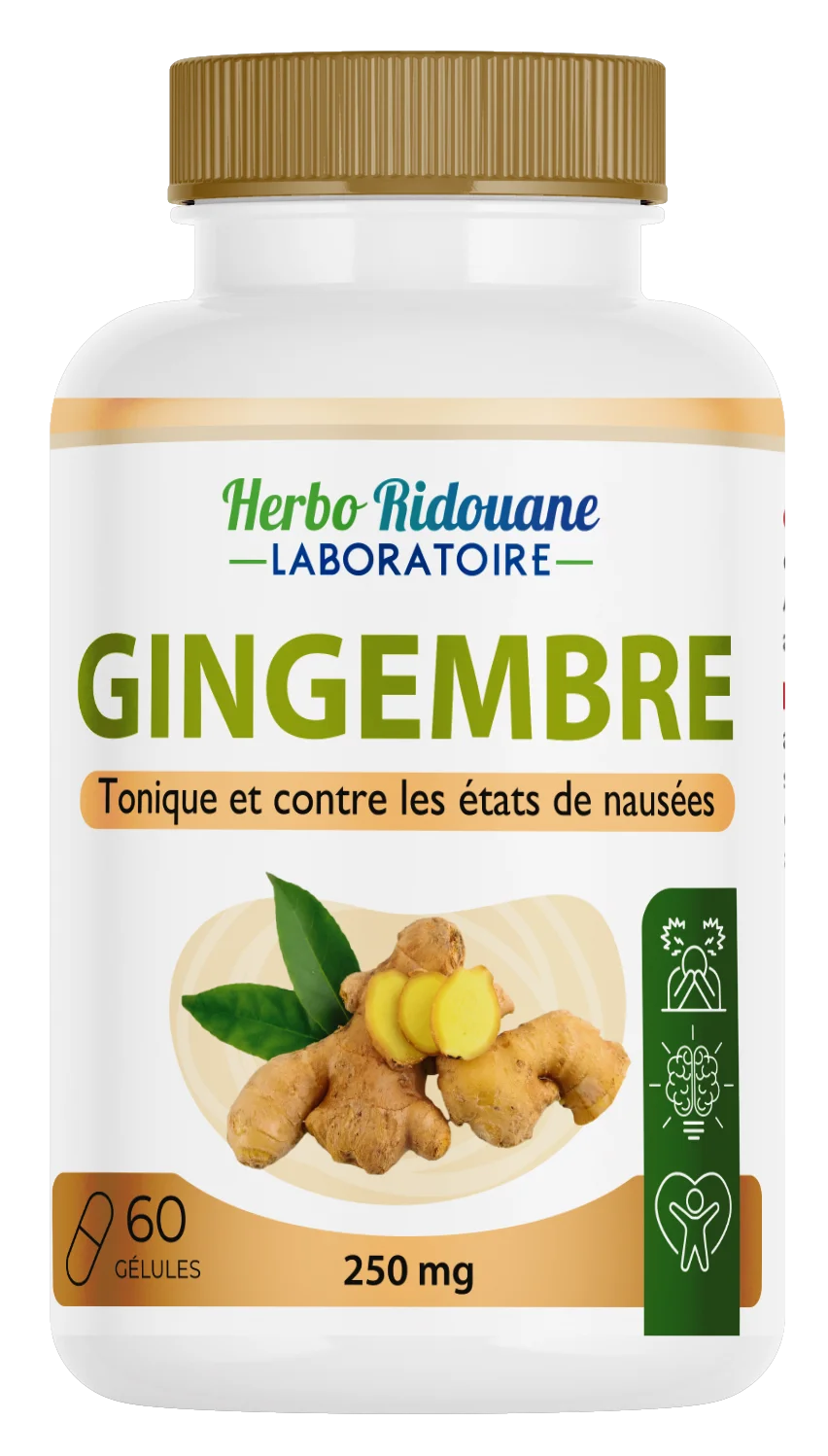 Gingembre