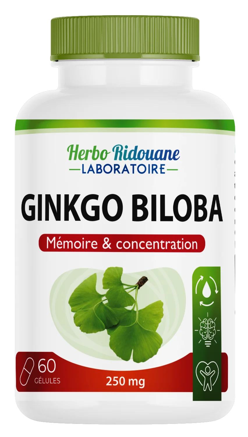 Ginkgo Biloba