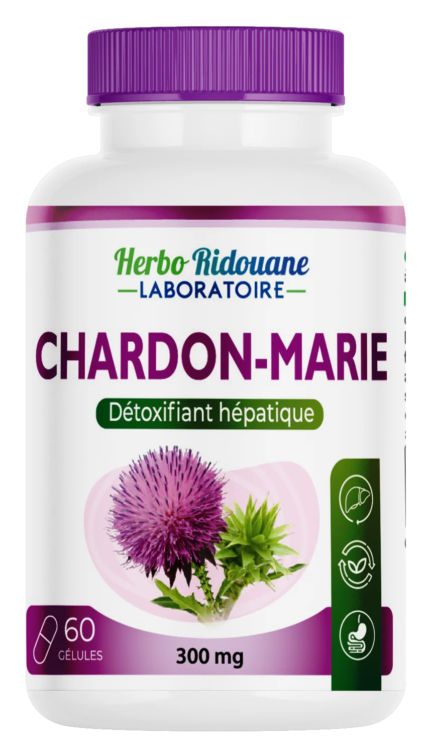 Chardon-marie