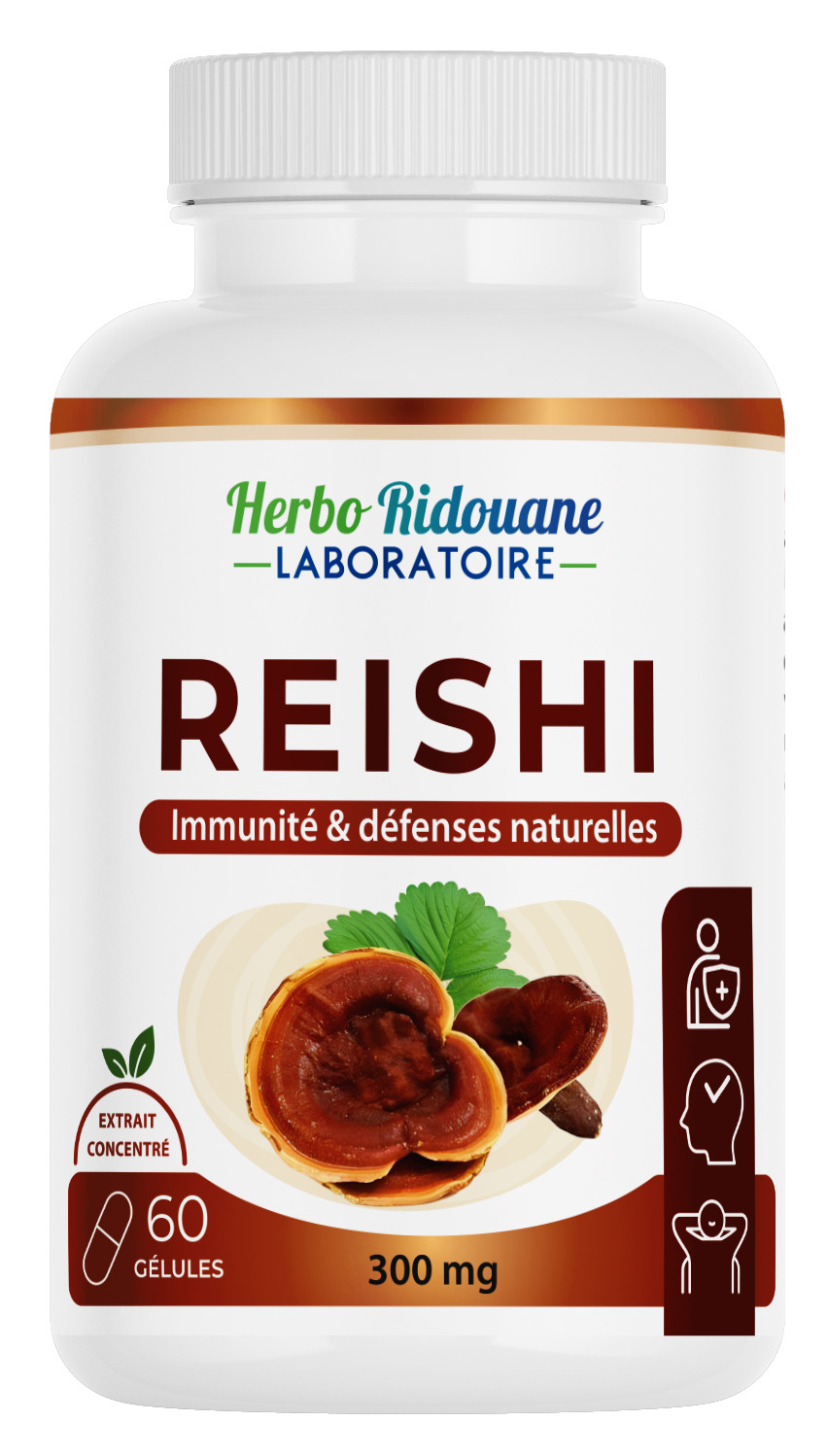 Reishi