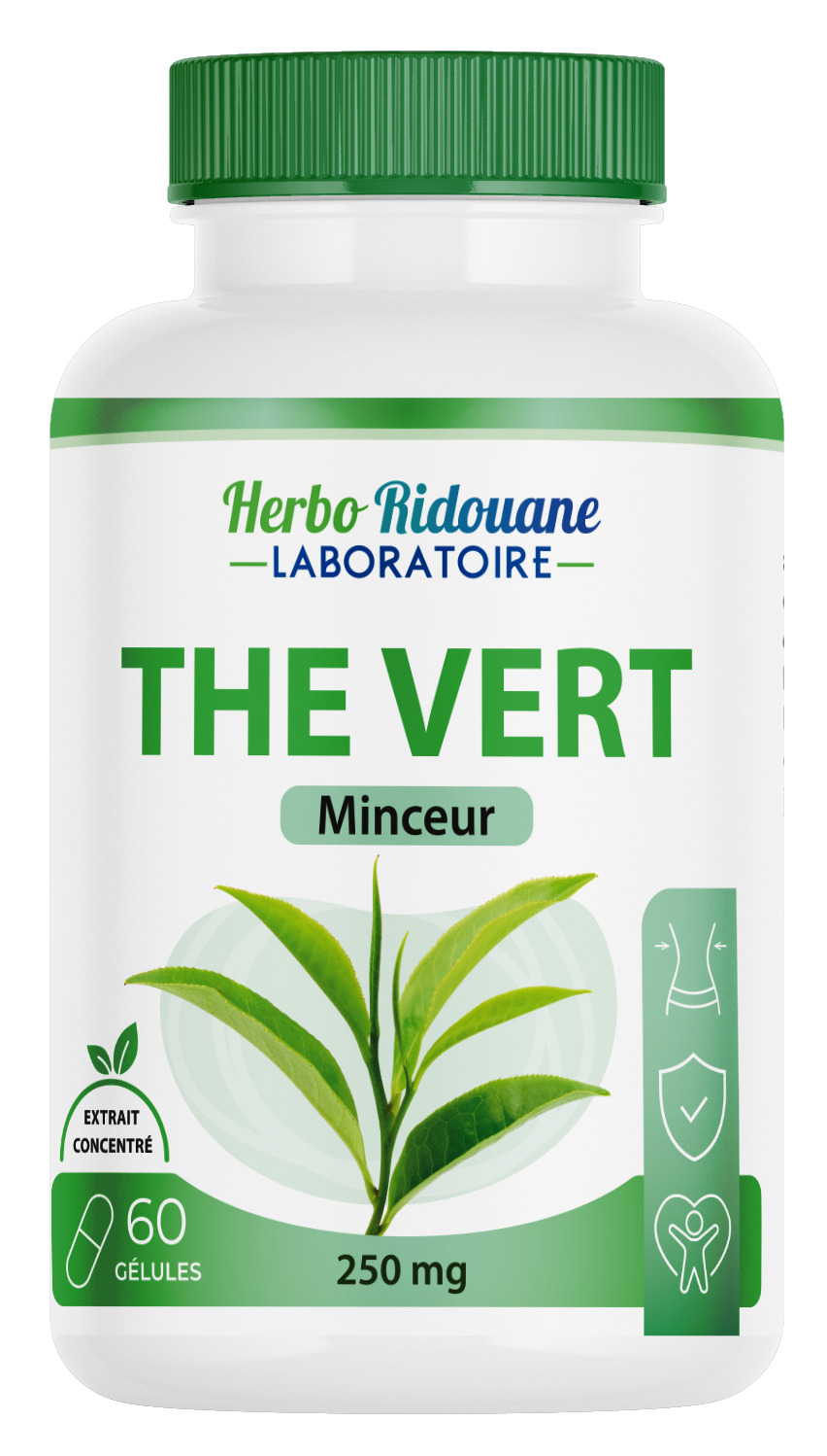 Thé vert 