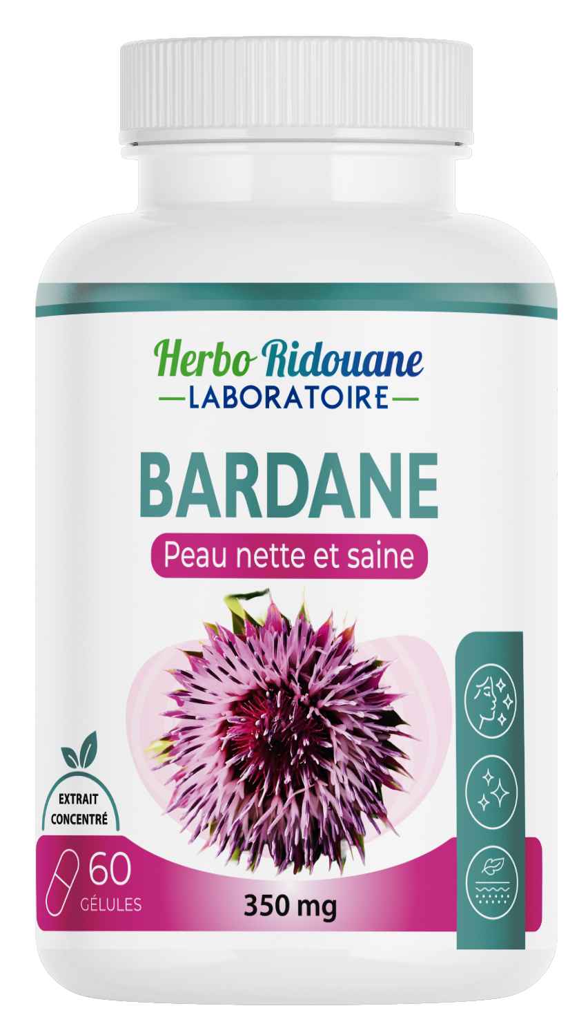 Bardane