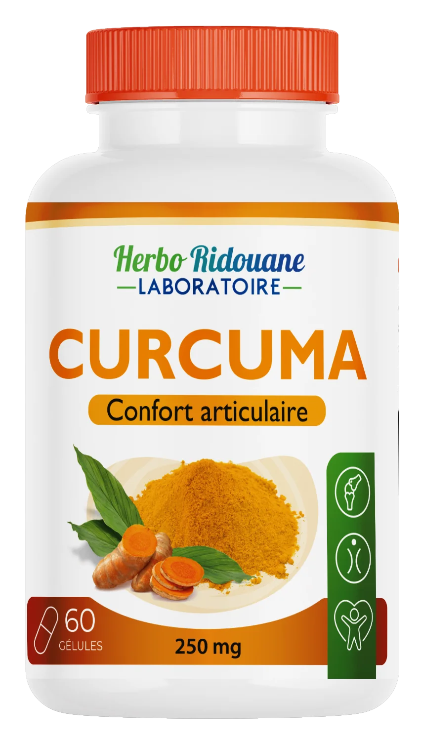Curcuma
